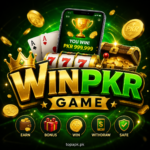 Featured image for the WINPKR guide