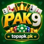 Featured image for the PAK9 Game guide