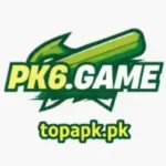 Featured image for the pk6 game guide